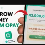 How to Borrow Money from OPay