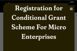 Presidential Conditional Grant Scheme