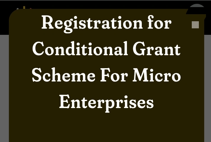 Presidential Conditional Grant Scheme