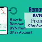 How to Remove BVN from OPay Account