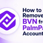 How to Remove BVN from PalmPay Account How to Remove BVN from PalmPay Account
