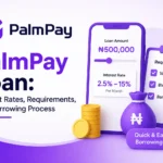 PalmPay Loan: Interest Rates, Requirements, and Borrowing Process