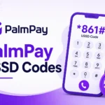 PalmPay USSD Code