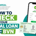How to Check Your NIRSAL Loan With BVN