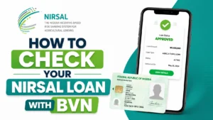 How to Check Your NIRSAL Loan With BVN
